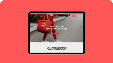 Case Studies Petchefy