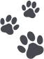 dog footprint